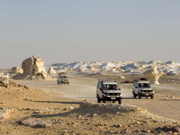 Tour Deserto Le Oasi d'Egitto e Luxor